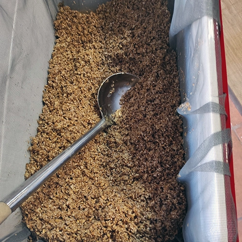 Lúpulo preparado para cocinar cerveza artesana